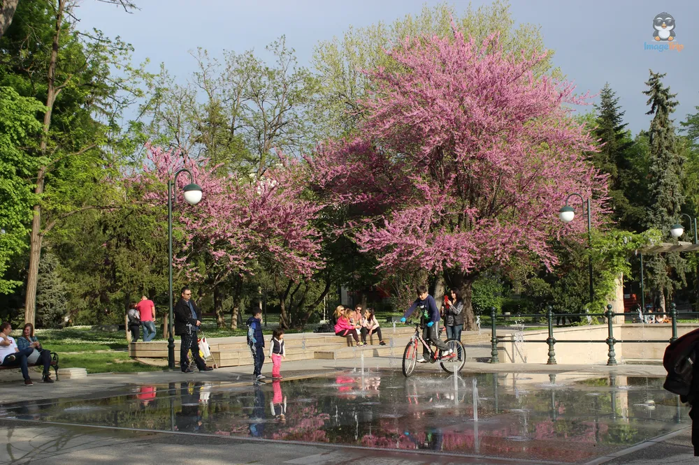 Plovdiv Parque Zar Simeon 11