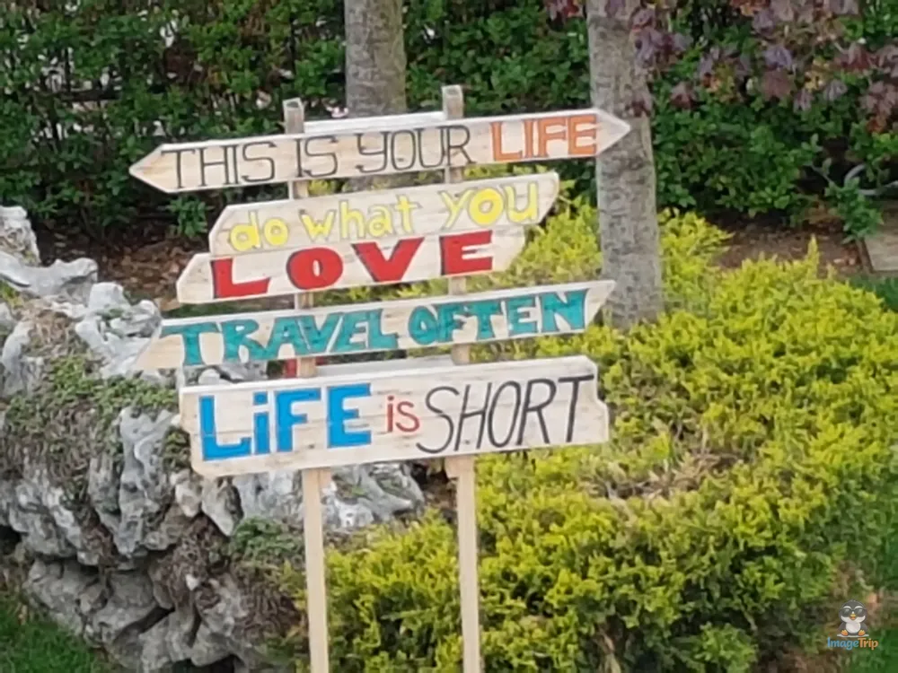 Sofía Jardin Palacio Cultura 2