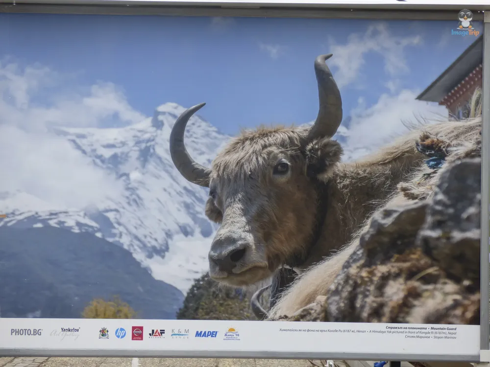 Sofía Jardin Palacio Cultura 8