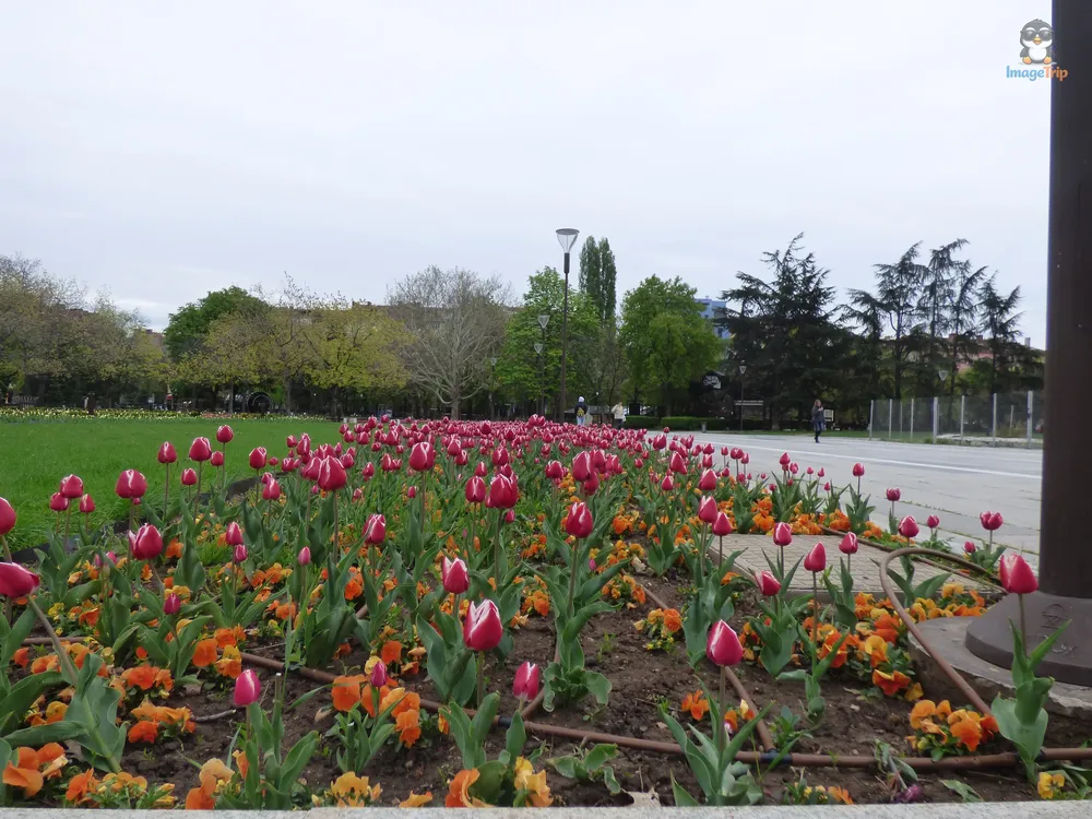 Sofía Jardin Palacio Cultura 3