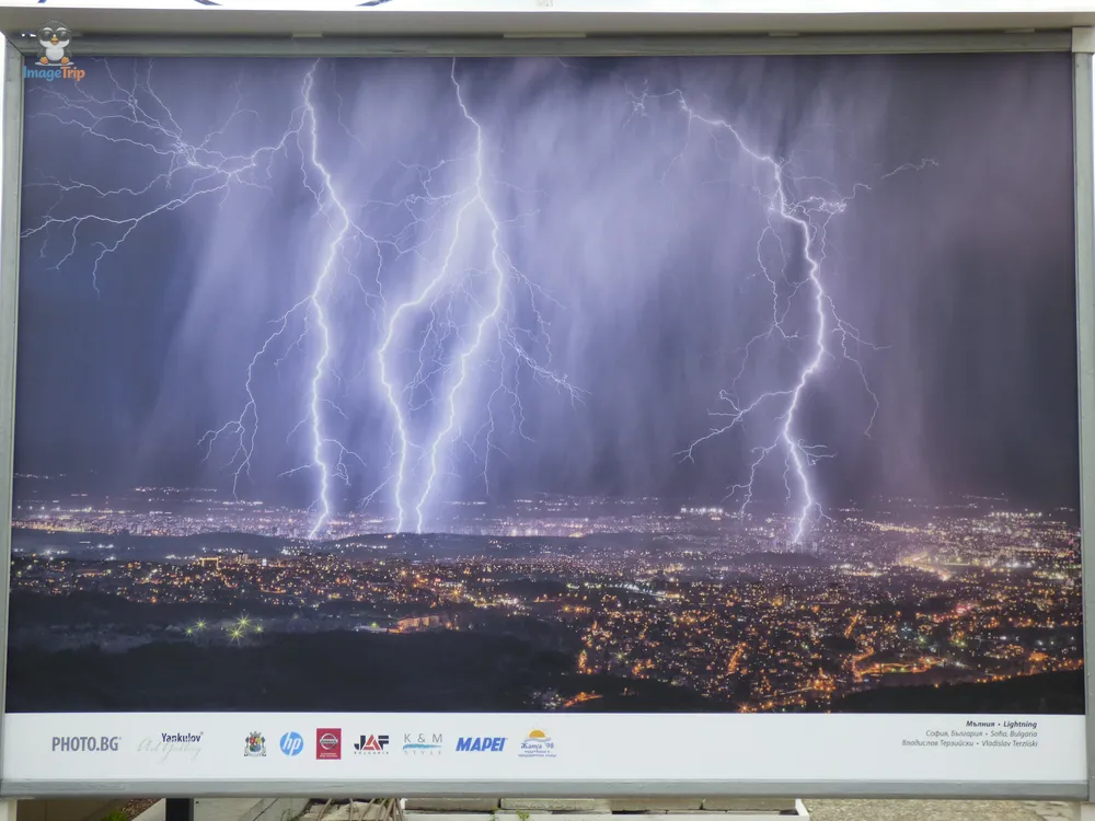 Sofía Jardin Palacio Cultura 14