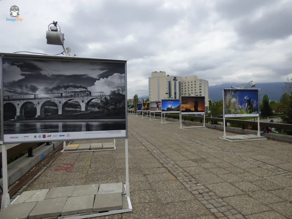 Sofía Jardin Palacio Cultura 9