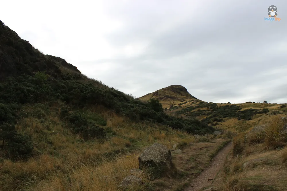 Arthurs Seat 48