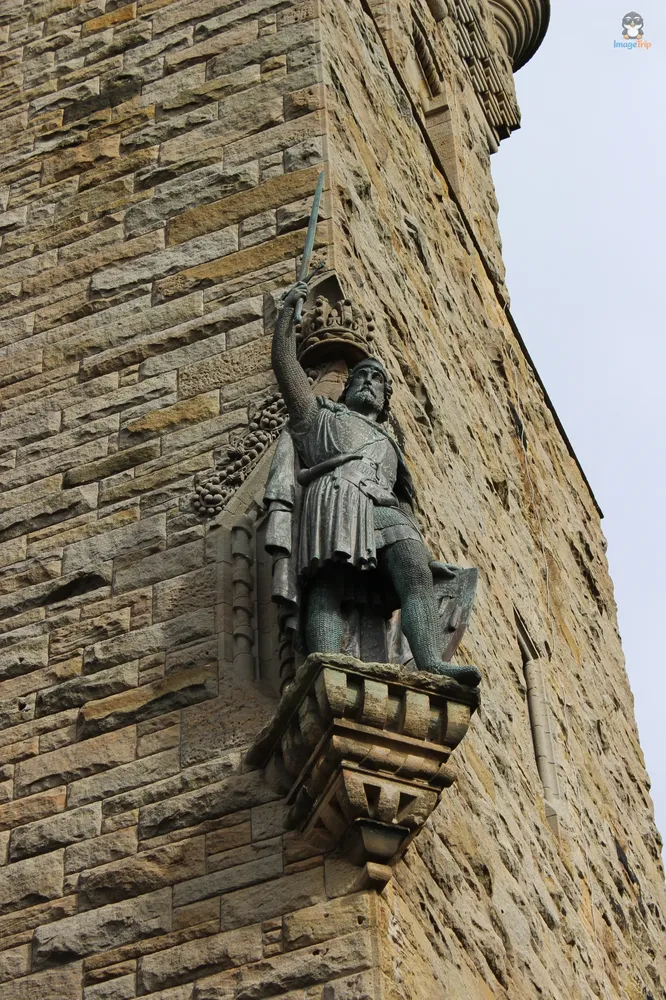 Wallace 6