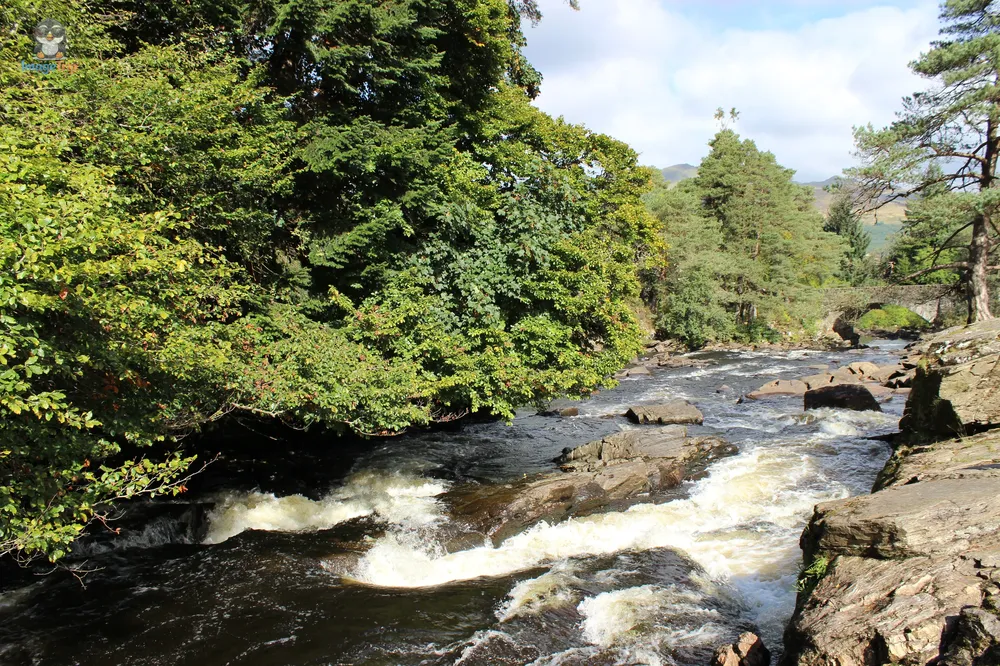 Docharty Falls 14