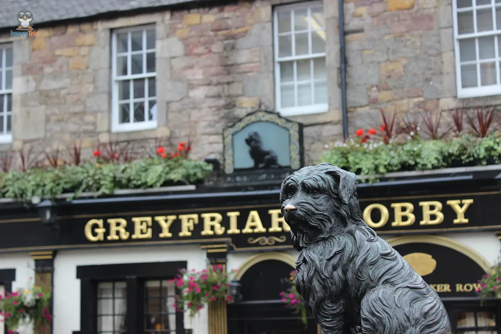 Greyfriars 14