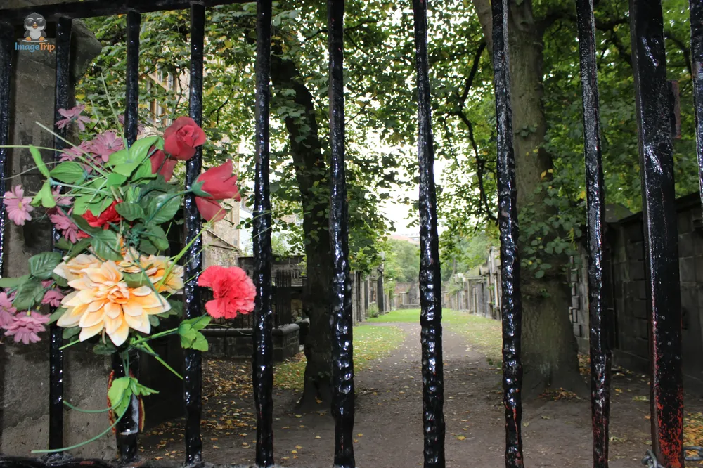 Greyfriars 11