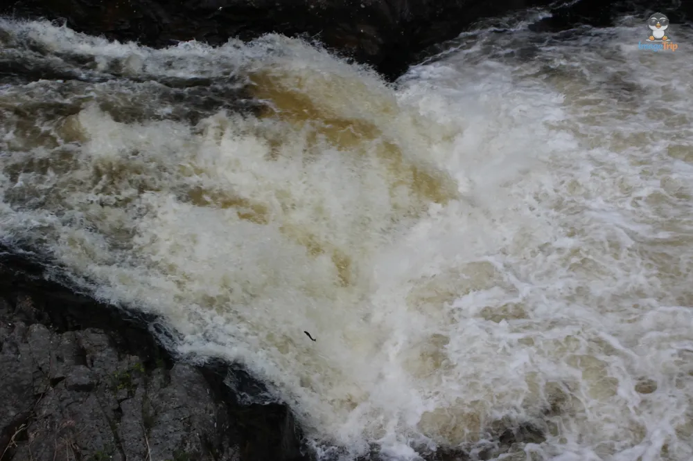 Shin Falls 9