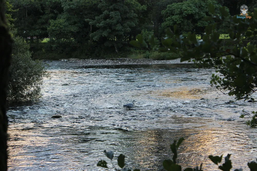 Inverness 25