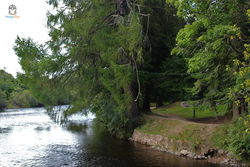 Inverness 15