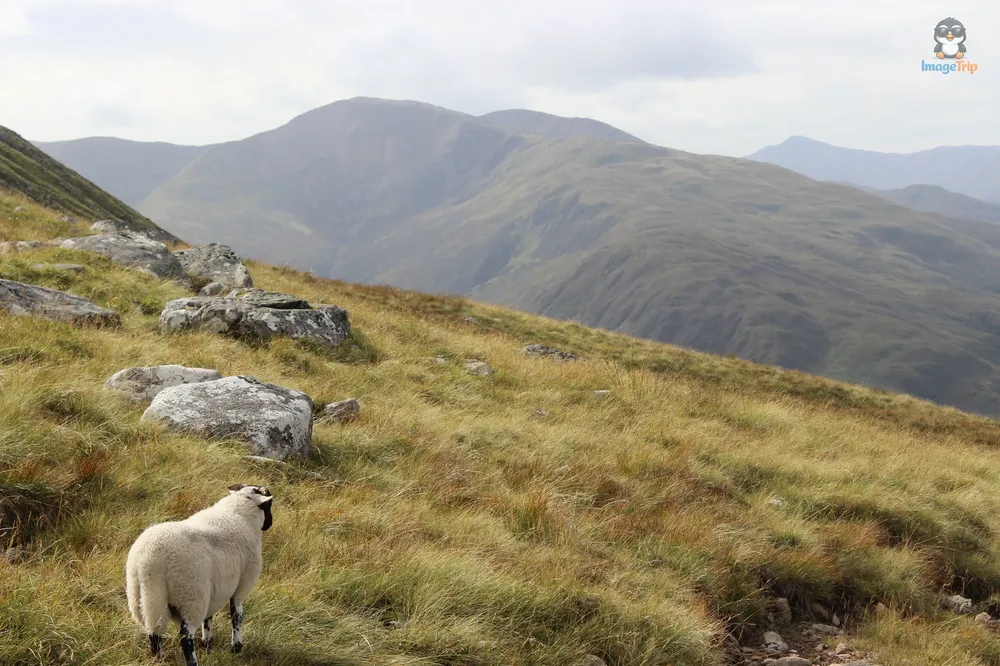 Ben Nevis 33