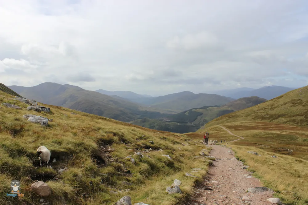 Ben Nevis 34
