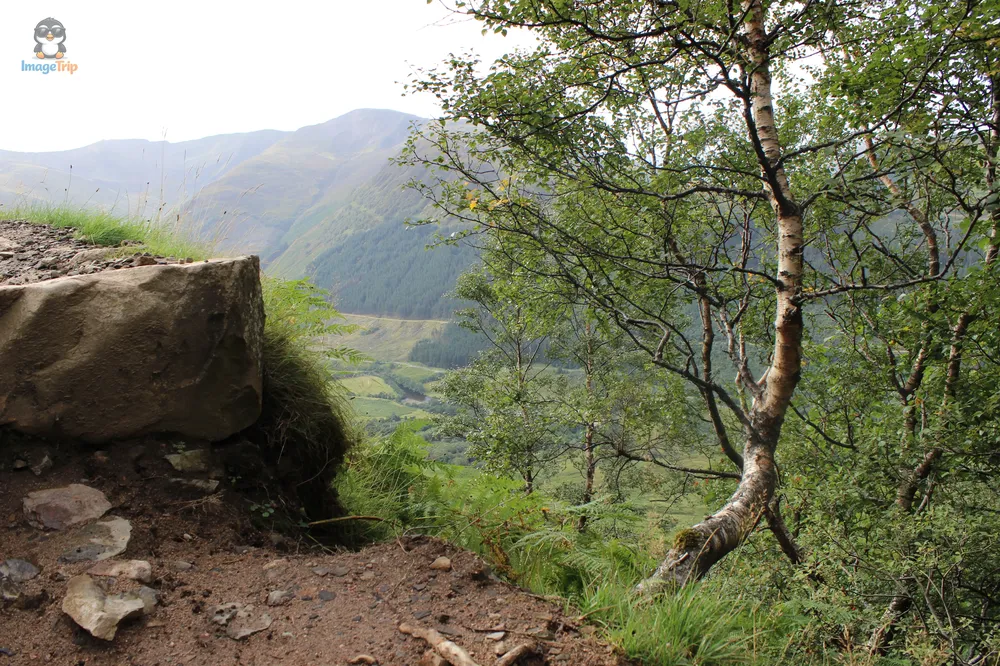Ben Nevis 14