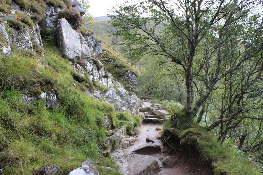 Ben Nevis 13