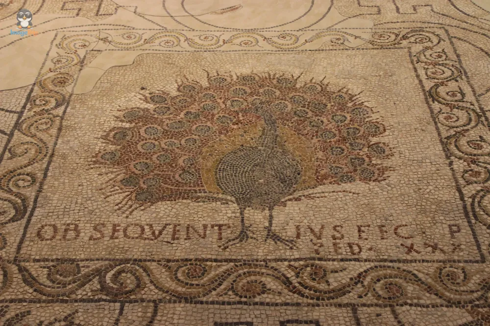 Catedral Florencia 150