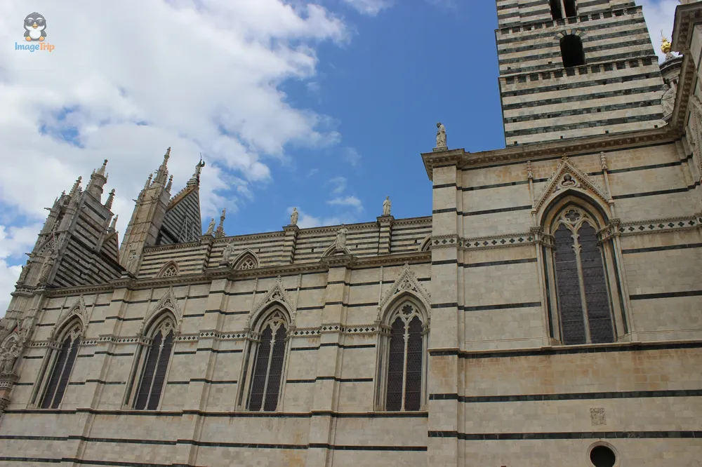 Siena Catedral 30