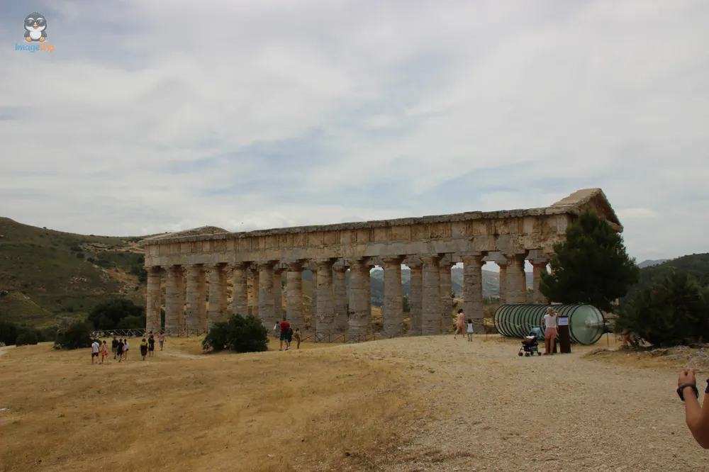 Segesta (21)