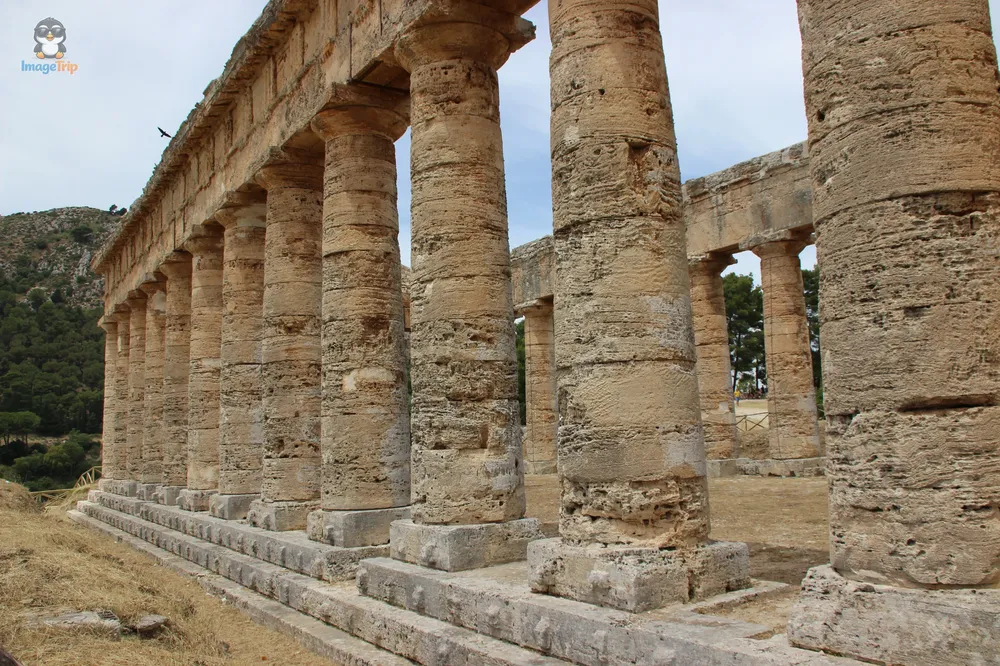 Segesta (12)