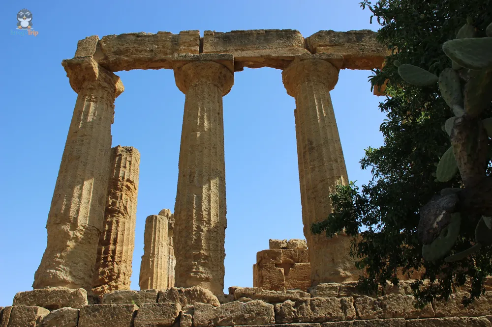 Agrigento Valle de los Templos (6)