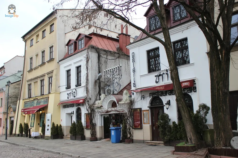 Kazimierz 7