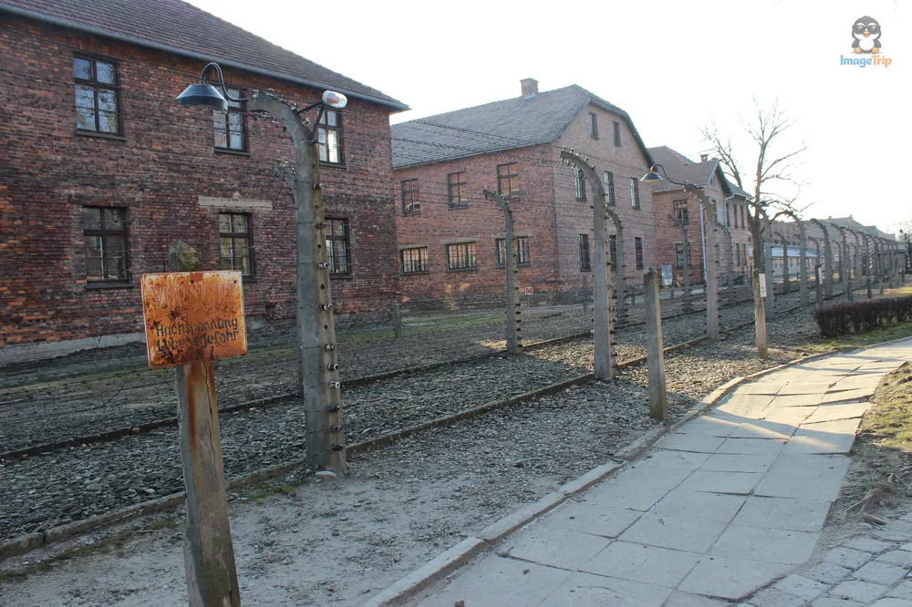 Auschwitz I 133