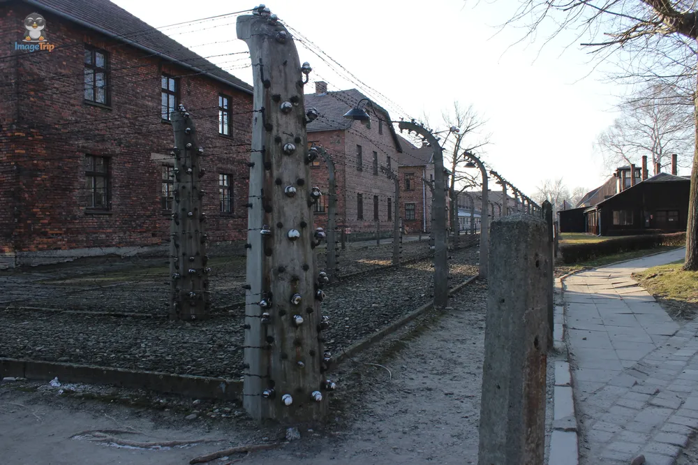 Auschwitz I 132