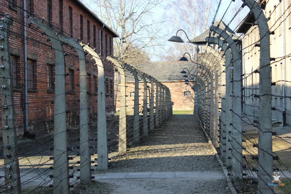 Auschwitz I 116