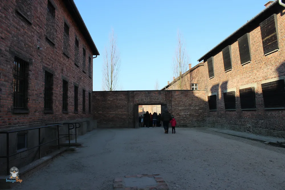 Auschwitz I 99