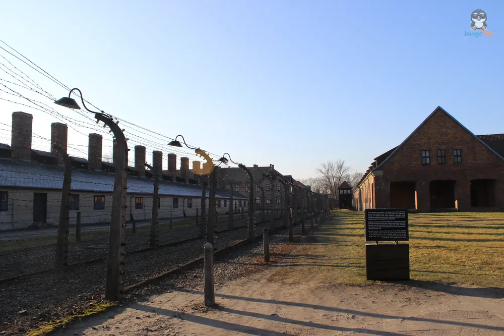 Auschwitz I 6