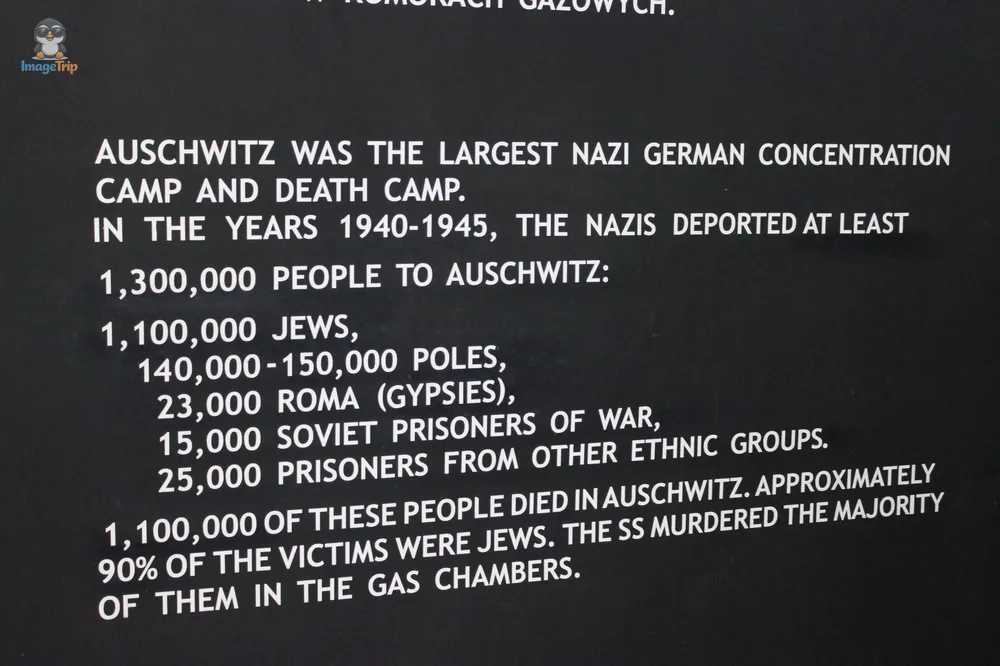 Auschwitz I 19