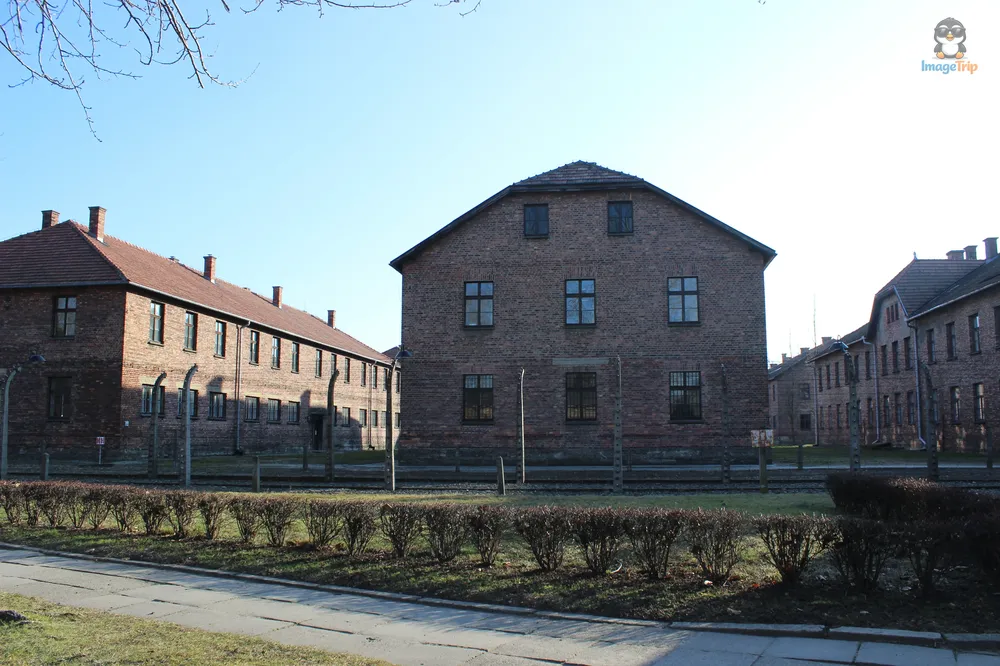 Auschwitz I 134
