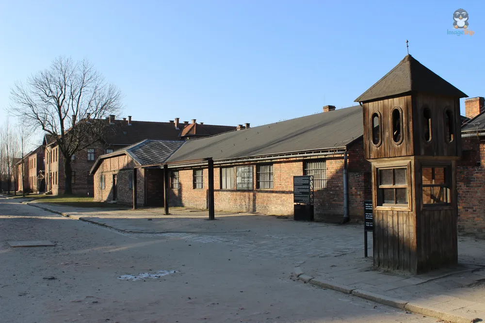 Auschwitz I 105