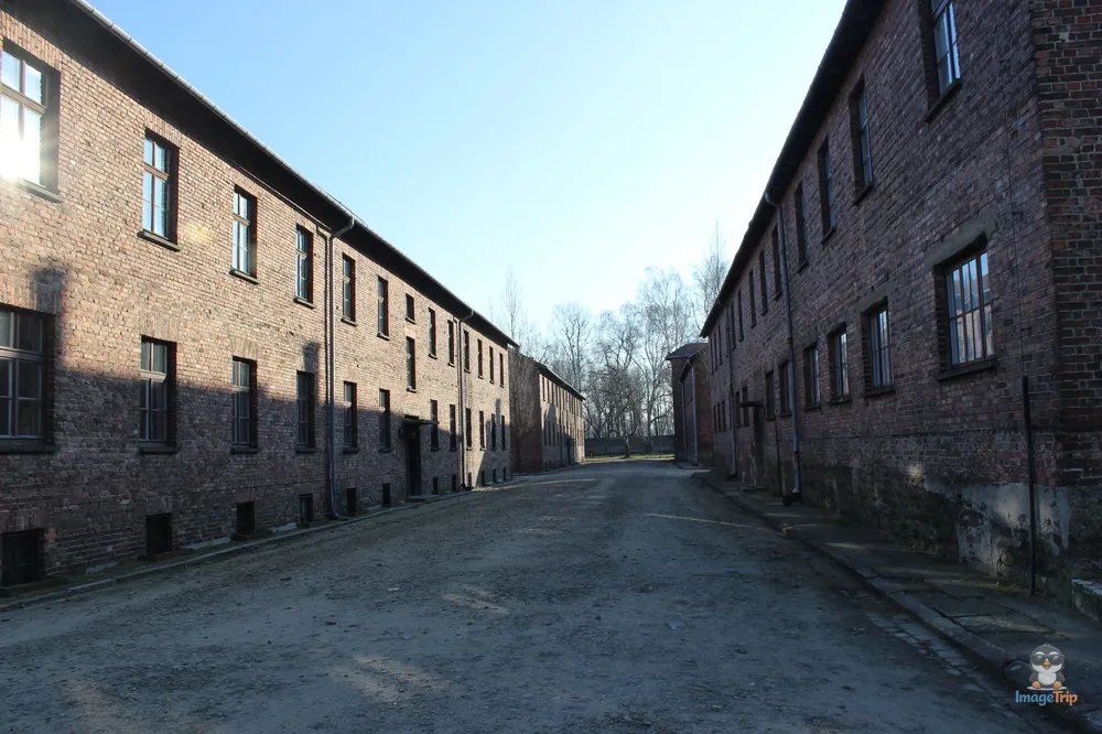 Auschwitz I 100