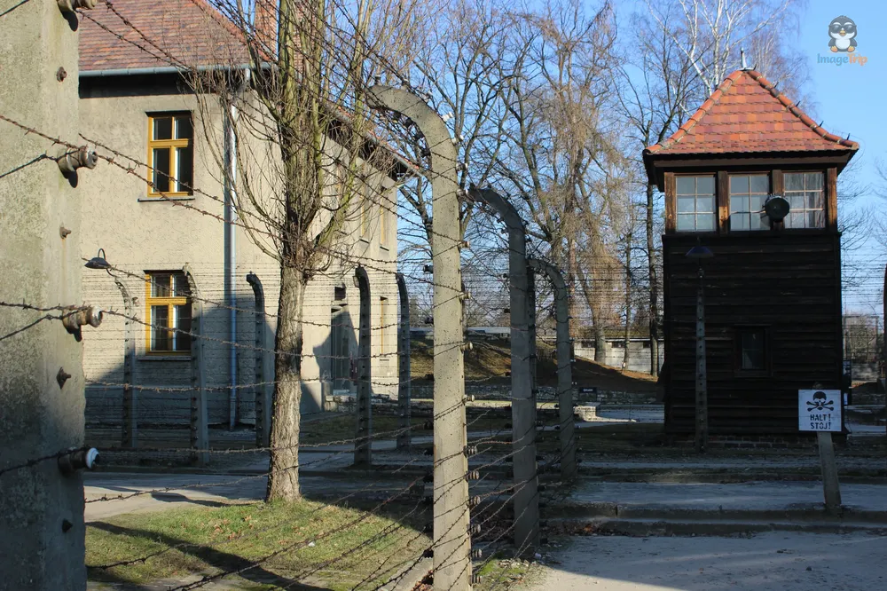 Auschwitz I 110