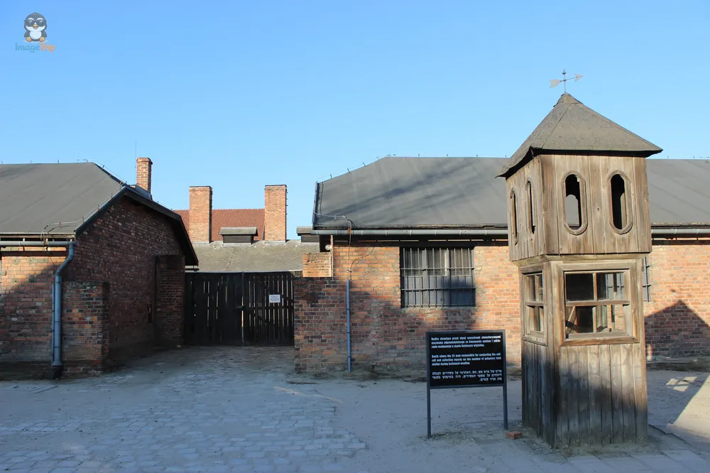 Auschwitz I 104