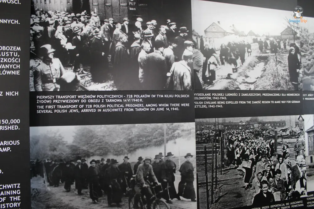 Auschwitz I 21