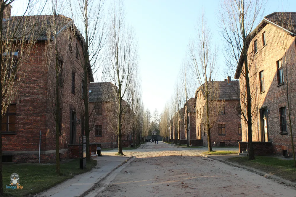 Auschwitz I 16