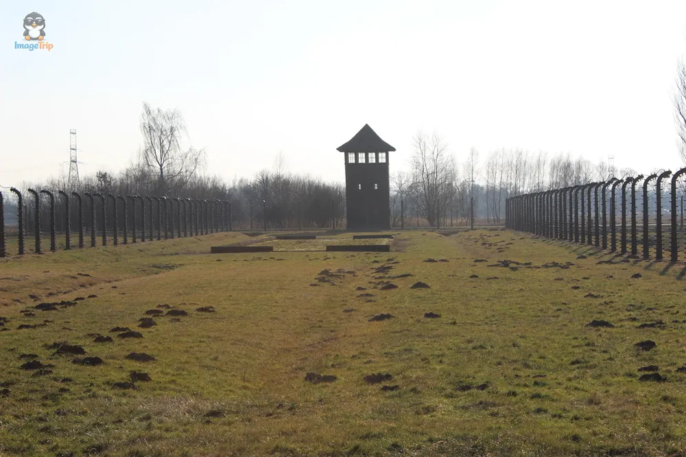 Auschwitz II 50