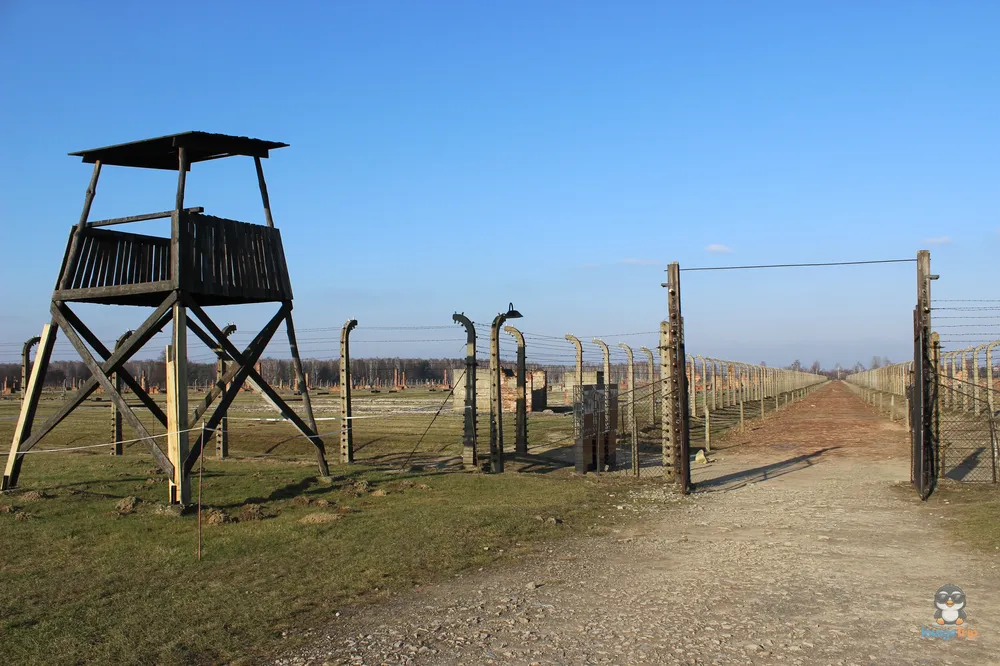 Auschwitz II 54