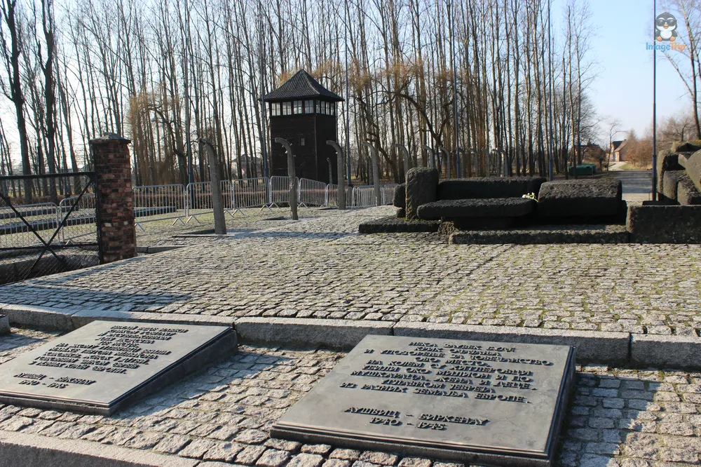 Auschwitz II 35