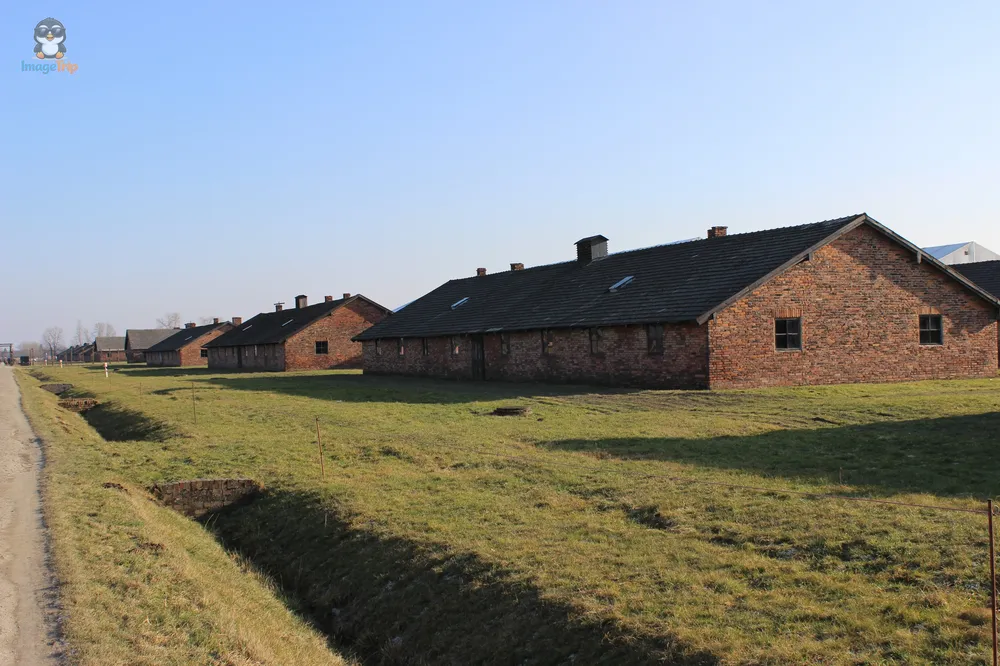 Auschwitz II 46