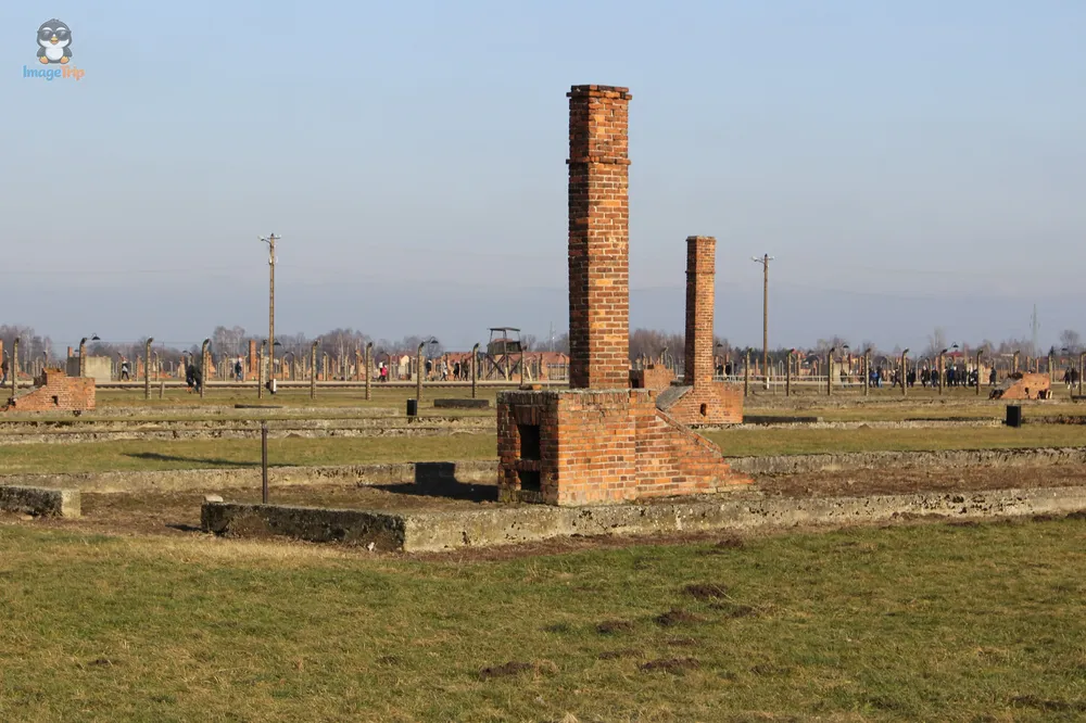 Auschwitz II 45