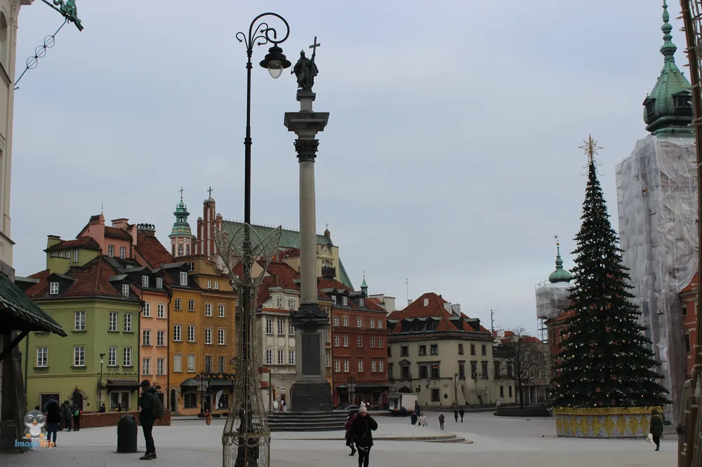 Columna Segismundo 5