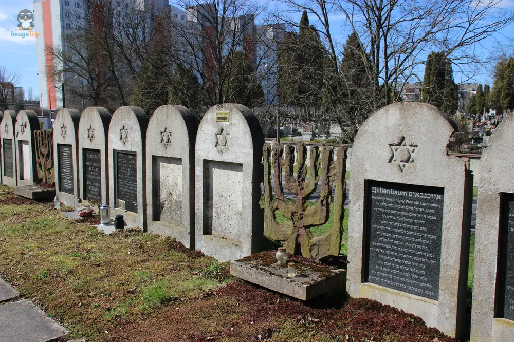 Lublin_SinagogaNuevoCementerio_4