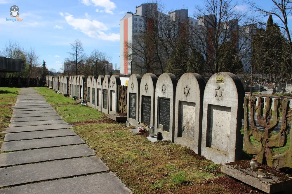 Lublin_SinagogaNuevoCementerio_3