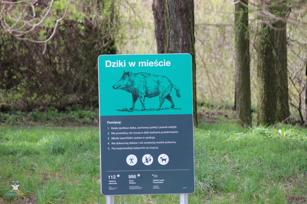 Poznan_ParcCiudadela_21