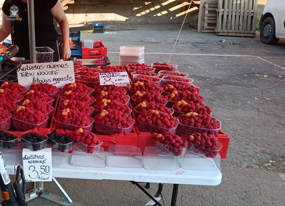 MercadoCentral_11