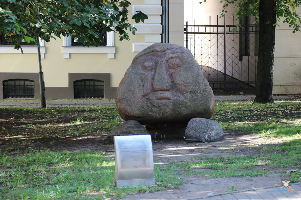 PlazaLivu_13
