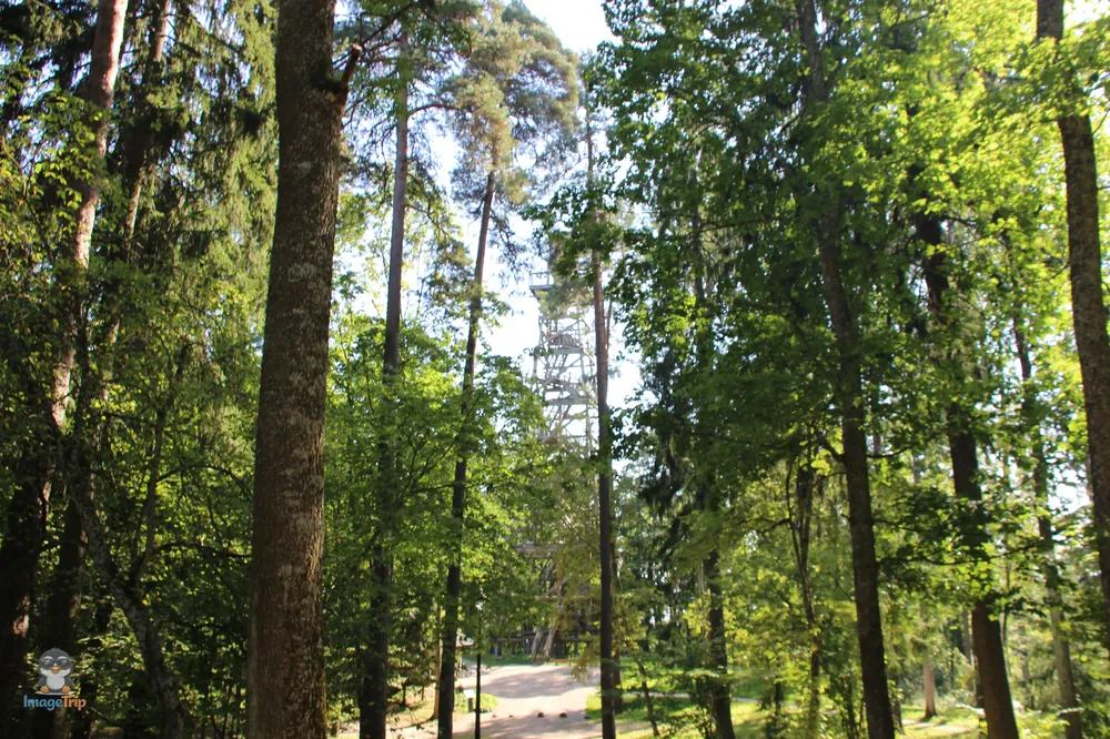 Aluksne_15