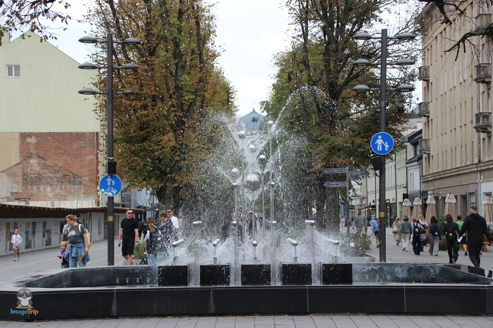 KaunasLaisves_14